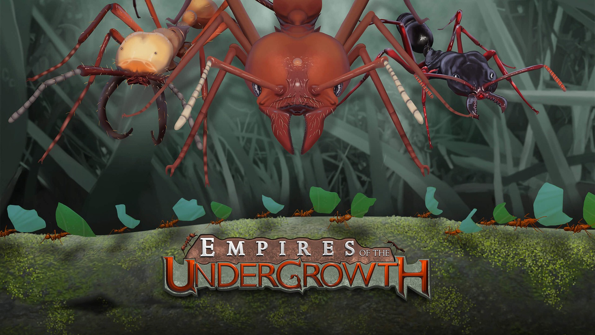 Empires of the Undergrowth ant colony